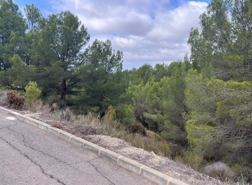 Herverkoop - Land - Altea - Sierra de Altea