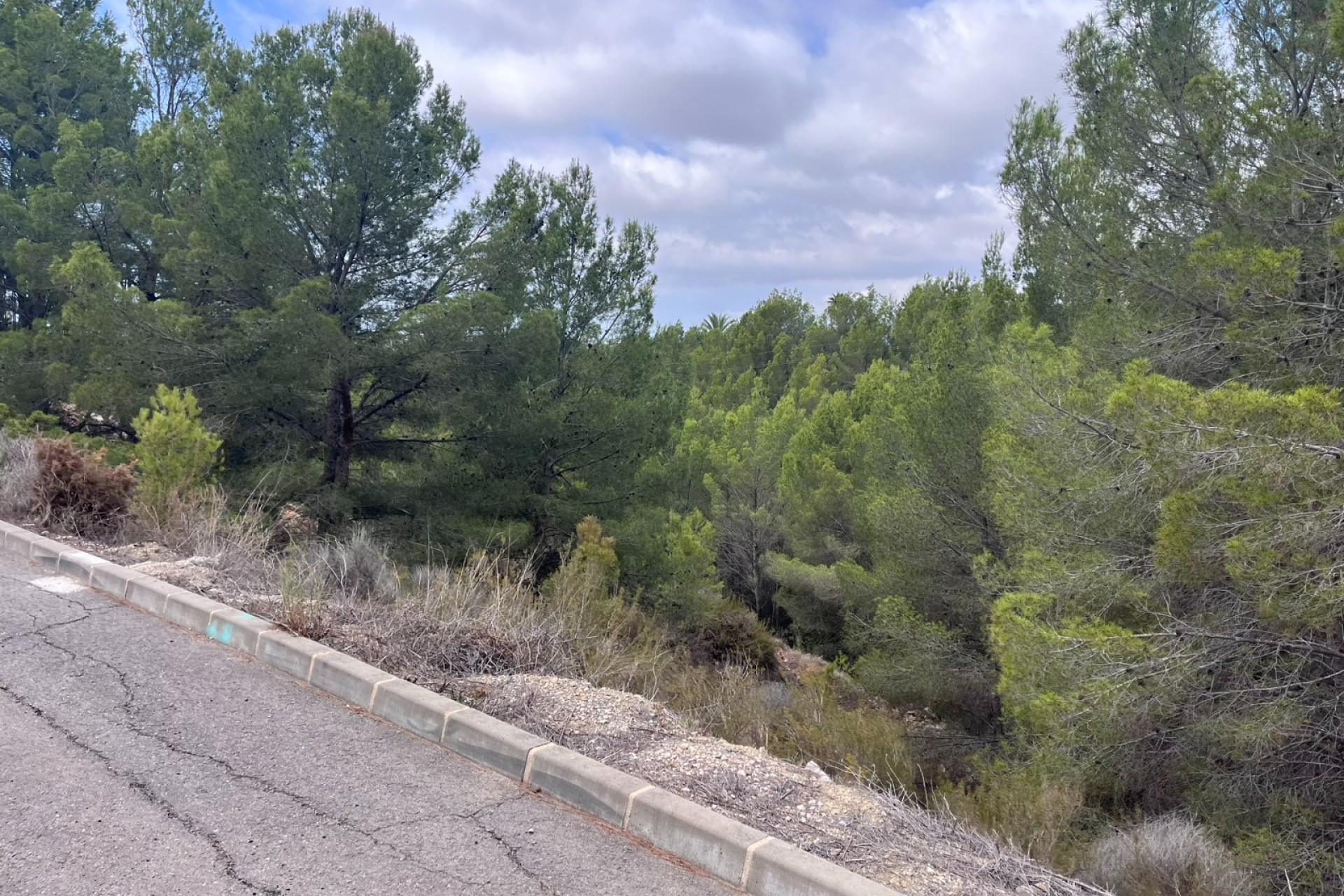 Herverkoop - Land - Altea - Sierra de Altea