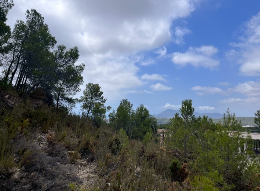 Herverkoop - Land - Altea - Sierra de Altea