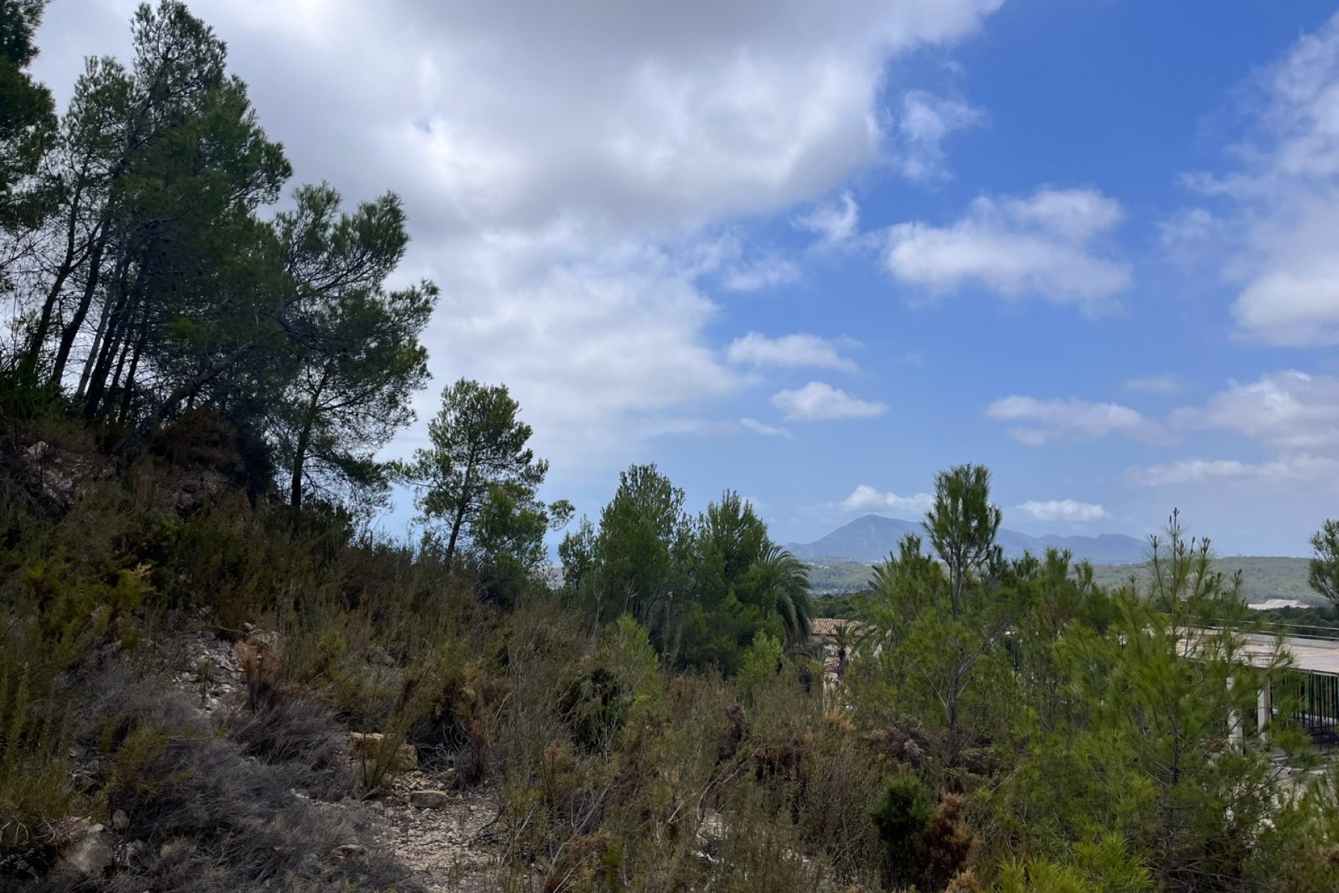 Herverkoop - Land - Altea - Sierra de Altea