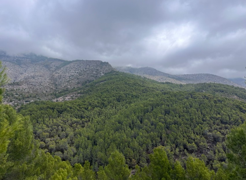 Herverkoop - Land - Altea - Sierra de Altea