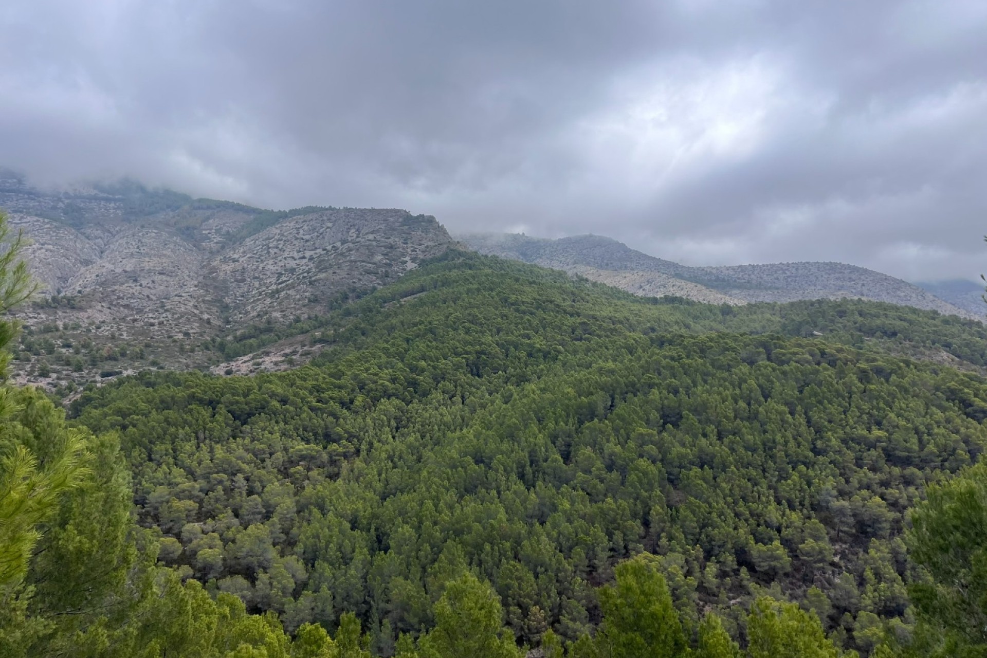Herverkoop - Land - Altea - Sierra de Altea