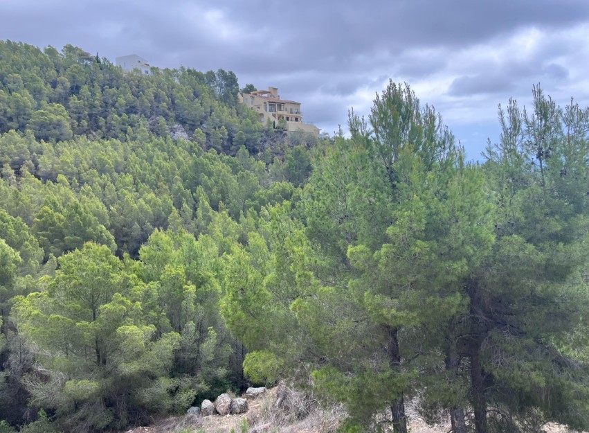 Herverkoop - Land - Altea - Sierra de Altea