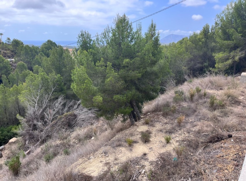Herverkoop - Land - Altea - Sierra de Altea