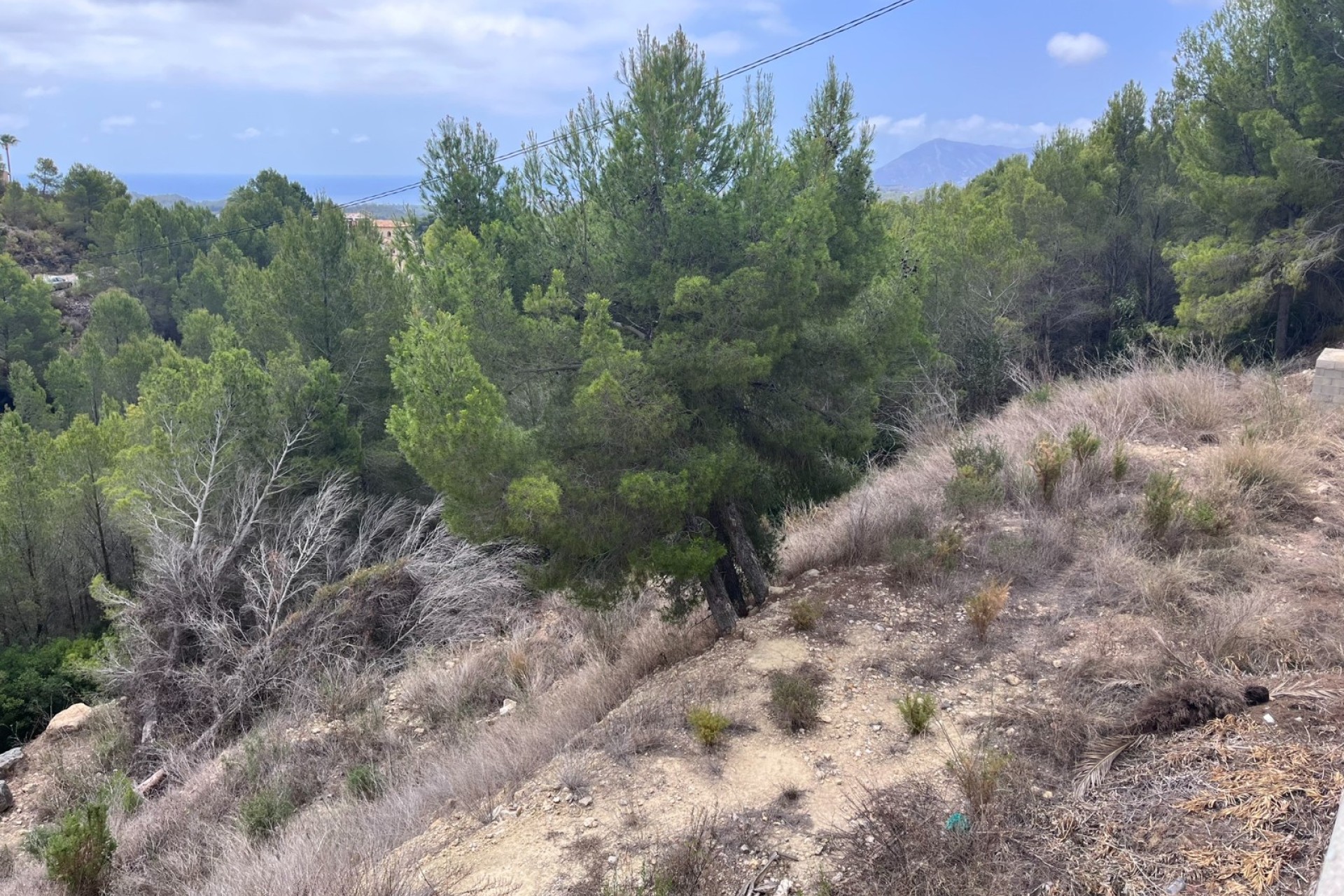 Herverkoop - Land - Altea - Sierra de Altea
