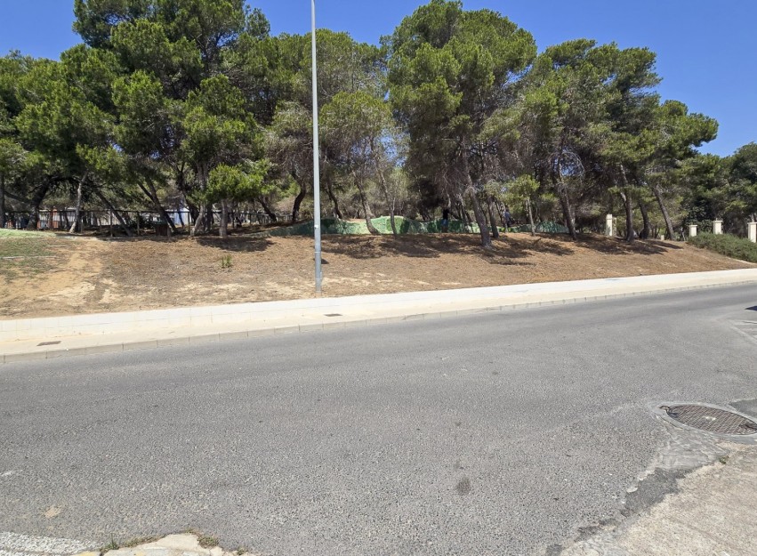 Herverkoop - Land - Guardamar del Segura - Pueblo