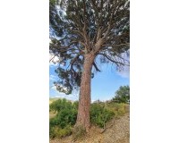 Herverkoop - Villa - Alcoy - Muro de Alcoy
