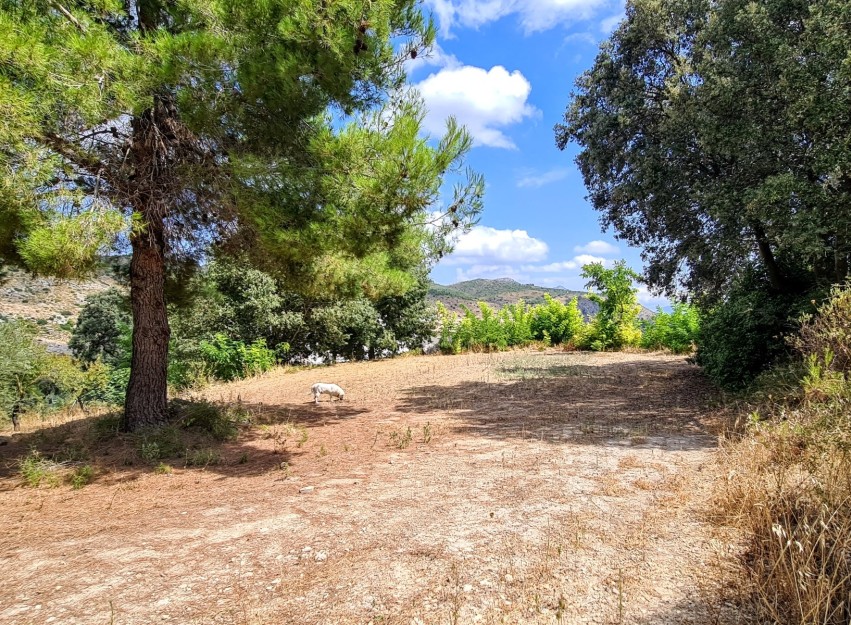 Herverkoop - Villa - Alcoy - Muro de Alcoy