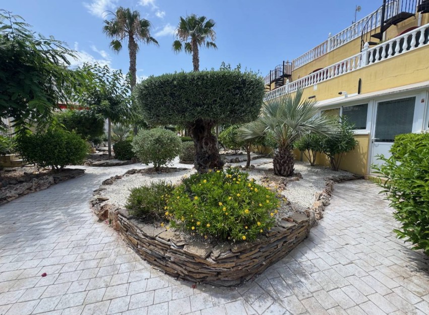 Herverkoop - Villa - Algorfa - Lo Crispin