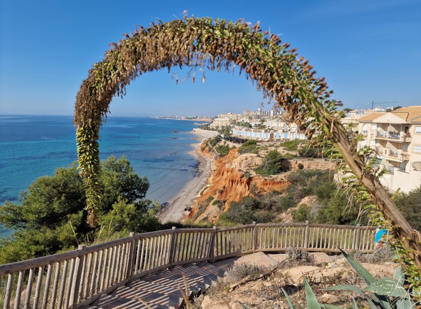 Herverkoop - Villa - Cabo Roig