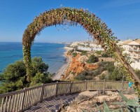 Herverkoop - Villa - Cabo Roig