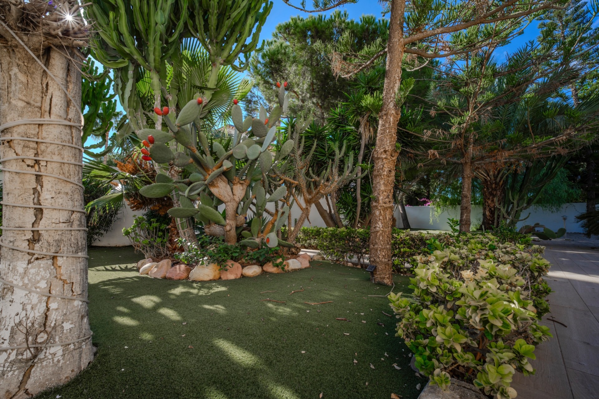 Herverkoop - Villa - Ciudad Quesada - Doña Pepa