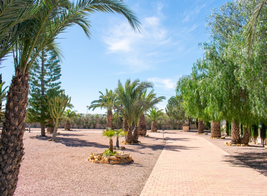 Herverkoop - Villa - Elche - La Marina