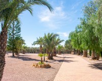 Herverkoop - Villa - Elche - La Marina
