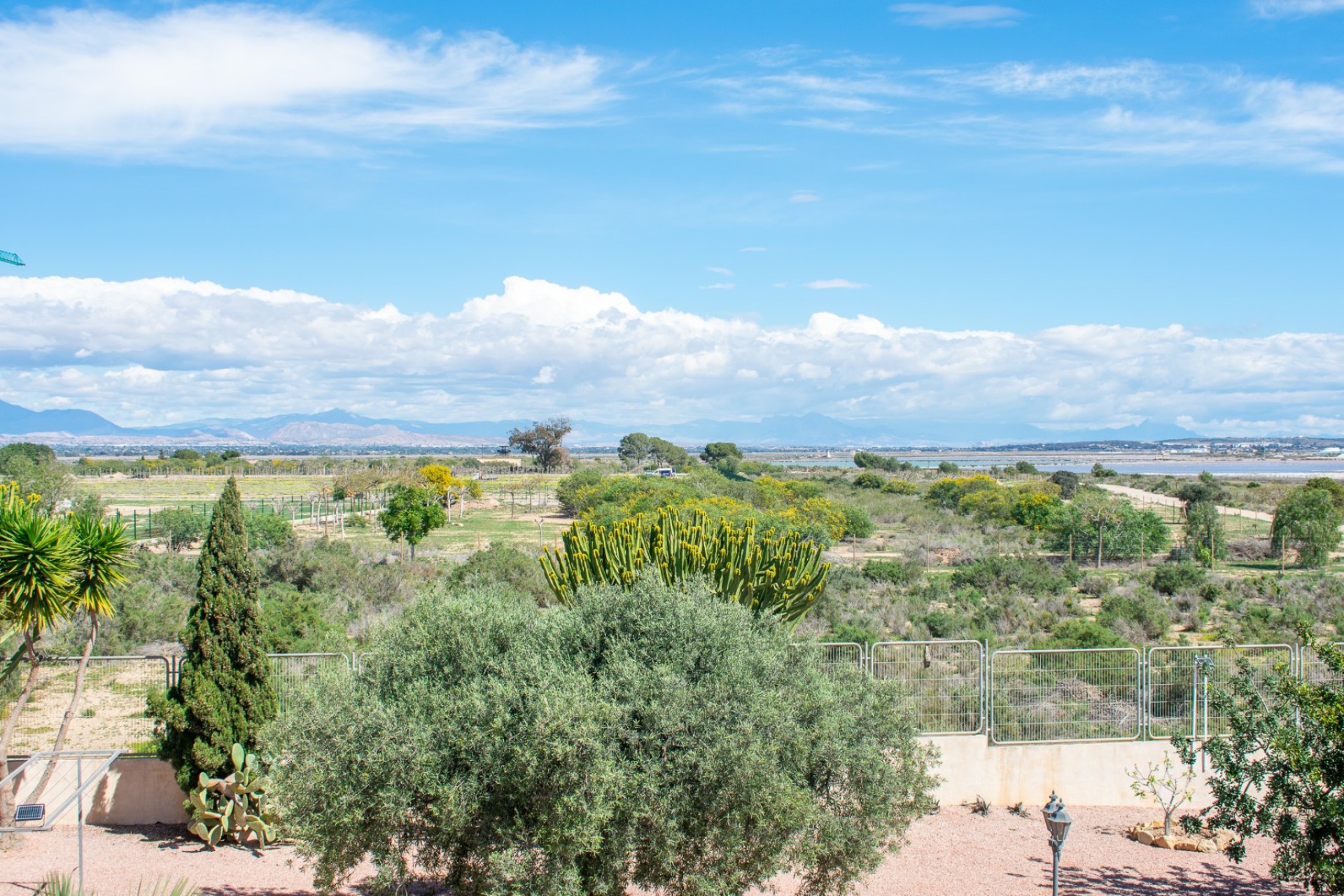 Herverkoop - Villa - Elche - La Marina