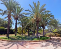 Herverkoop - Villa - Elche