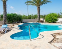 Herverkoop - Villa - Guardamar del Segura - El Raso