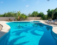 Herverkoop - Villa - Guardamar del Segura - El Raso