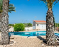 Herverkoop - Villa - Guardamar del Segura - El Raso