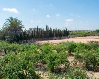 Herverkoop - Villa - Guardamar del Segura - El Raso
