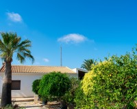 Herverkoop - Villa - Guardamar del Segura - El Raso