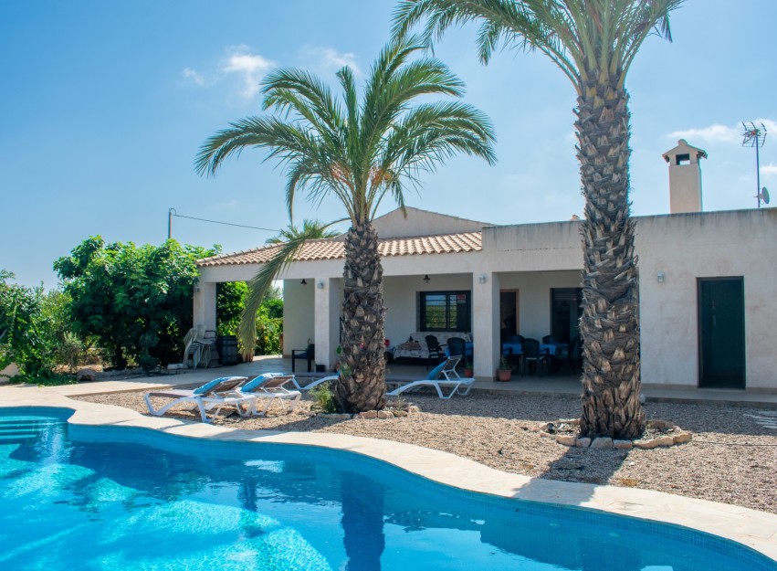 Herverkoop - Villa - Guardamar del Segura - El Raso