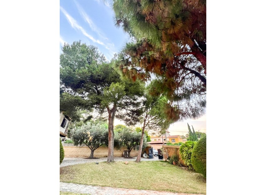 Herverkoop - Villa - Orihuela Costa - Punta Prima