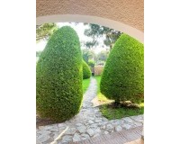 Herverkoop - Villa - Orihuela Costa - Punta Prima