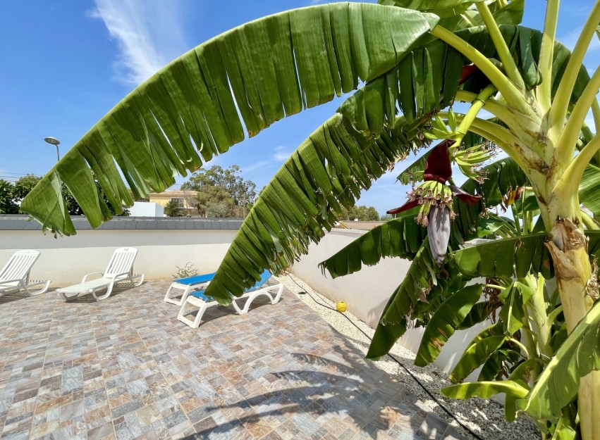 Herverkoop - Villa - Torrevieja - Los Balcones