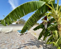 Herverkoop - Villa - Torrevieja - Los Balcones