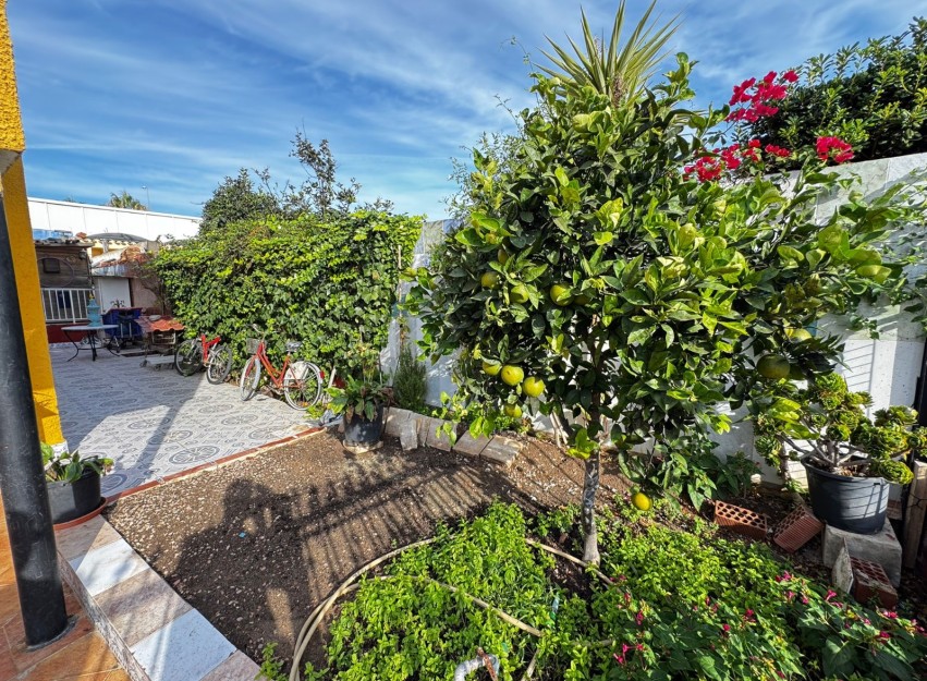 Herverkoop - Villa - Torrevieja - Punta Prima