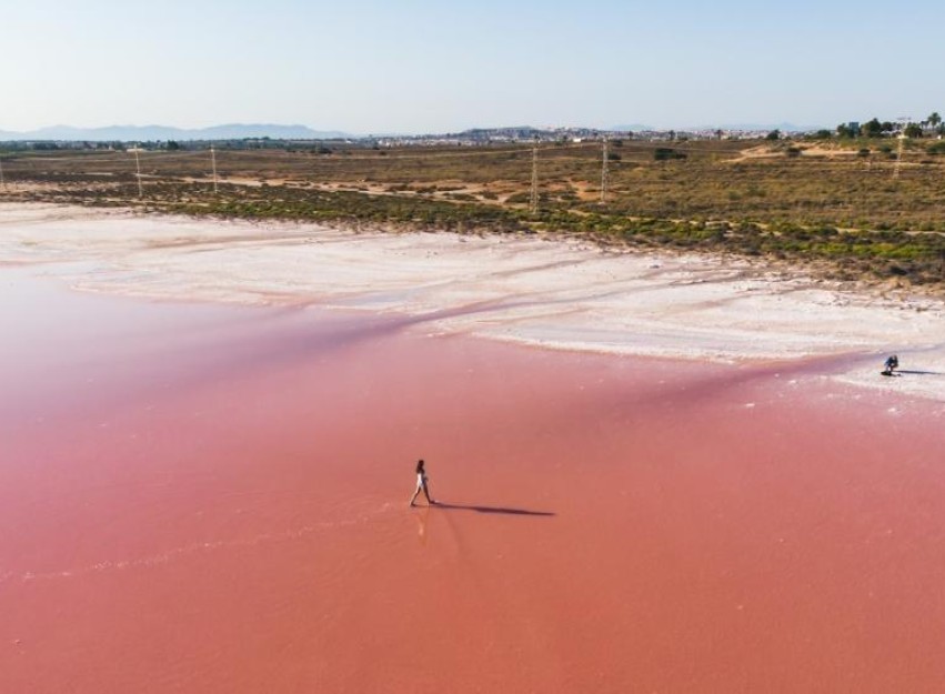 New Build - Apartment - Torrevieja - Playa de El Cura