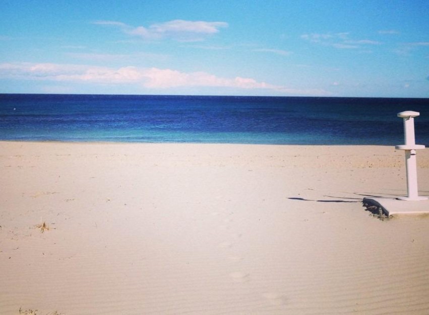 New Build - Bungalow - Pilar de la Horadada - Parque Ramon eugenio Escudero