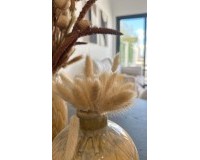 New Build - Bungalow - San Fulgencio - Pueblo