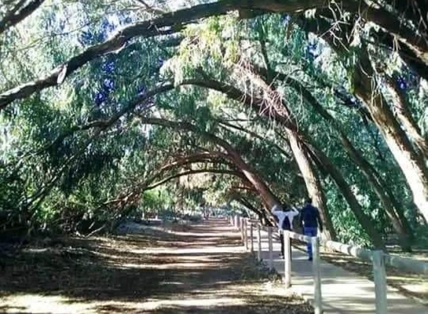 New Build - Bungalow - Torrevieja - Altos del Sol