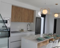 New Build - detached - Roldán