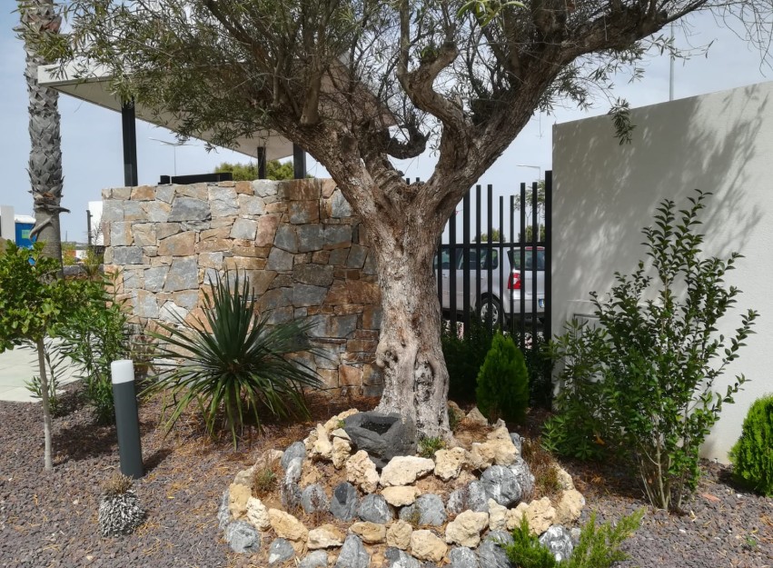 New Build - low-bungalow - Torrevieja