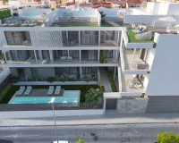 New Build - Penthouse - Benijofar - Pueblo