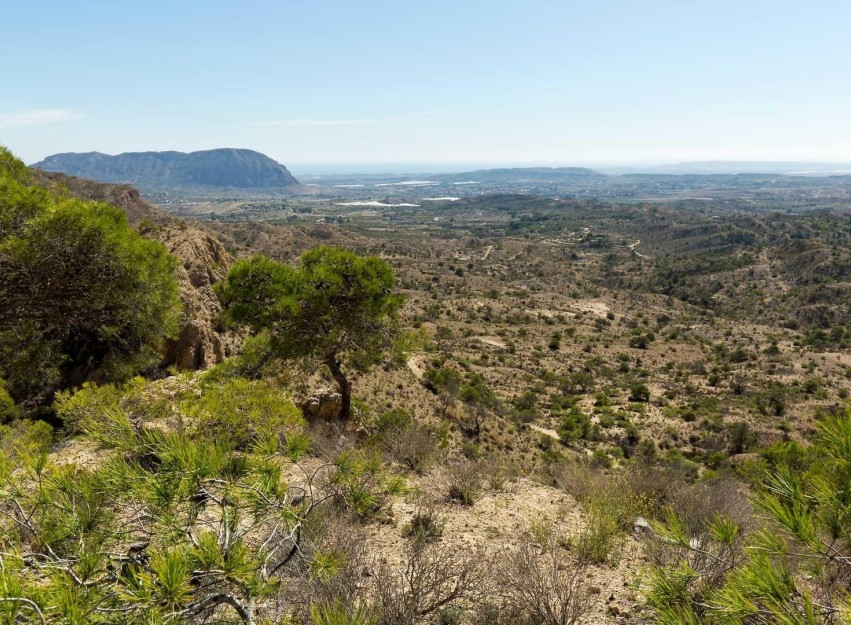 New Build - Villa - Aspe - Centro