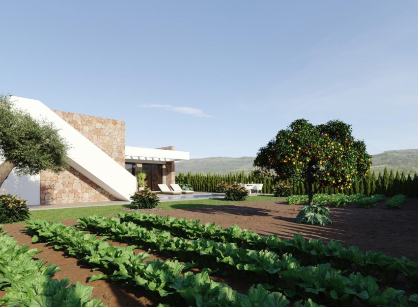 New Build - Villa - Fuente Alamo - Hacienda del Alamo