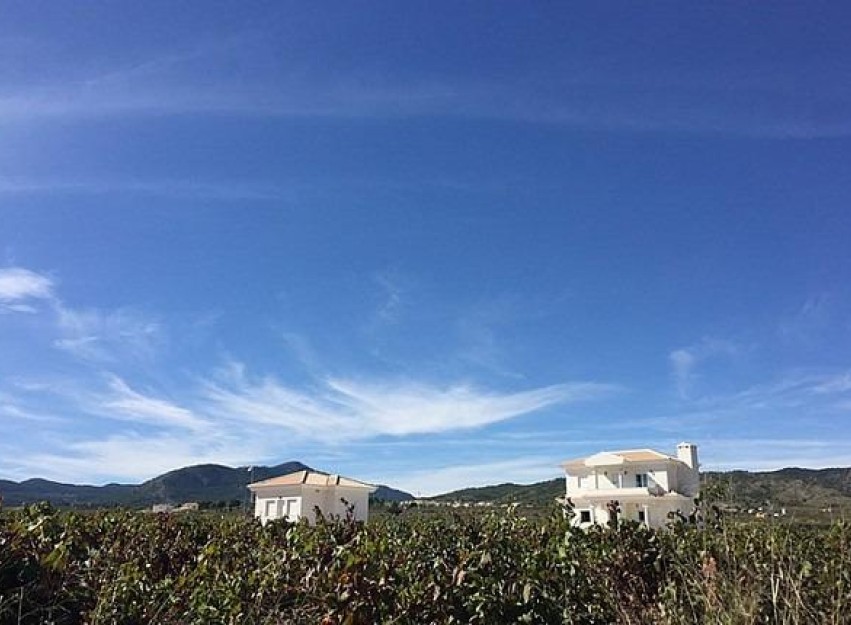 New Build - Villa - Pinoso - Camino Del Prado