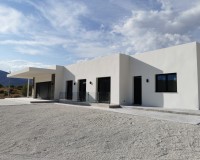 New Build - Villa - Pinoso - Casas Pastor