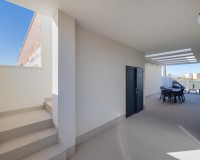 New Build - Villa - Torrevieja - Sector 25