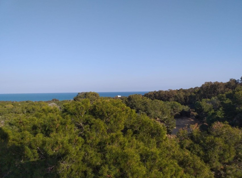 Nieuwbouw Woningen - Apartment - Guardamar del Segura - Pueblo