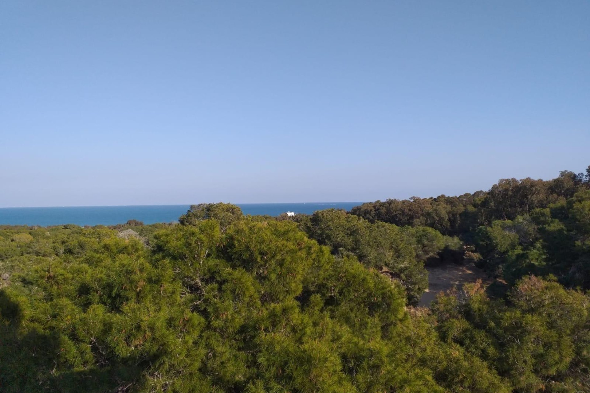 Nieuwbouw Woningen - Apartment - Guardamar del Segura - Pueblo