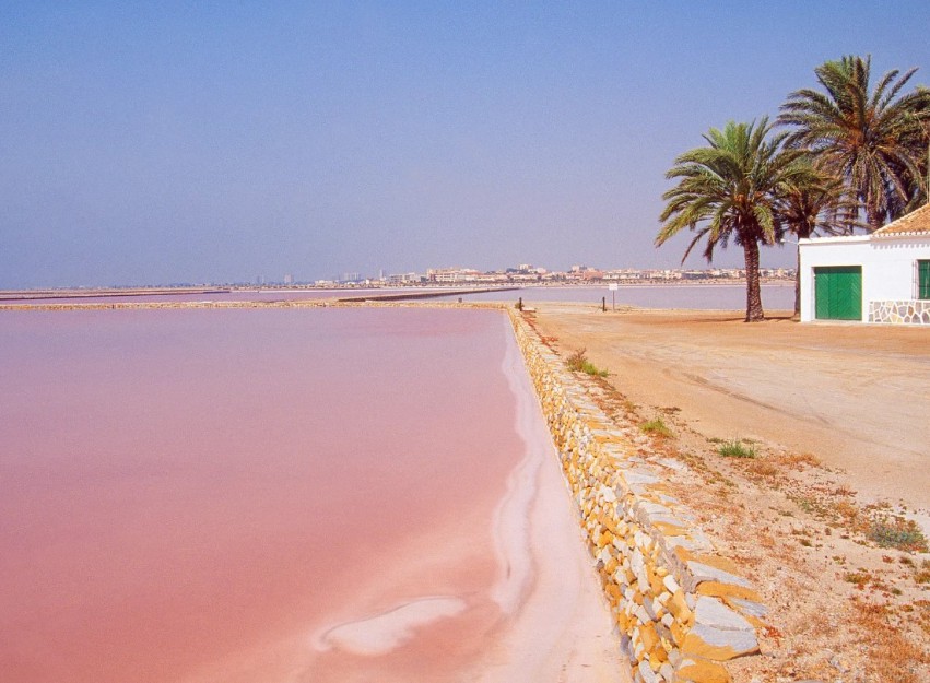 Nieuwbouw Woningen - Apartment - San Pedro del Pinatar