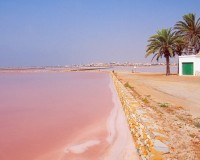 Nieuwbouw Woningen - Apartment - San Pedro del Pinatar