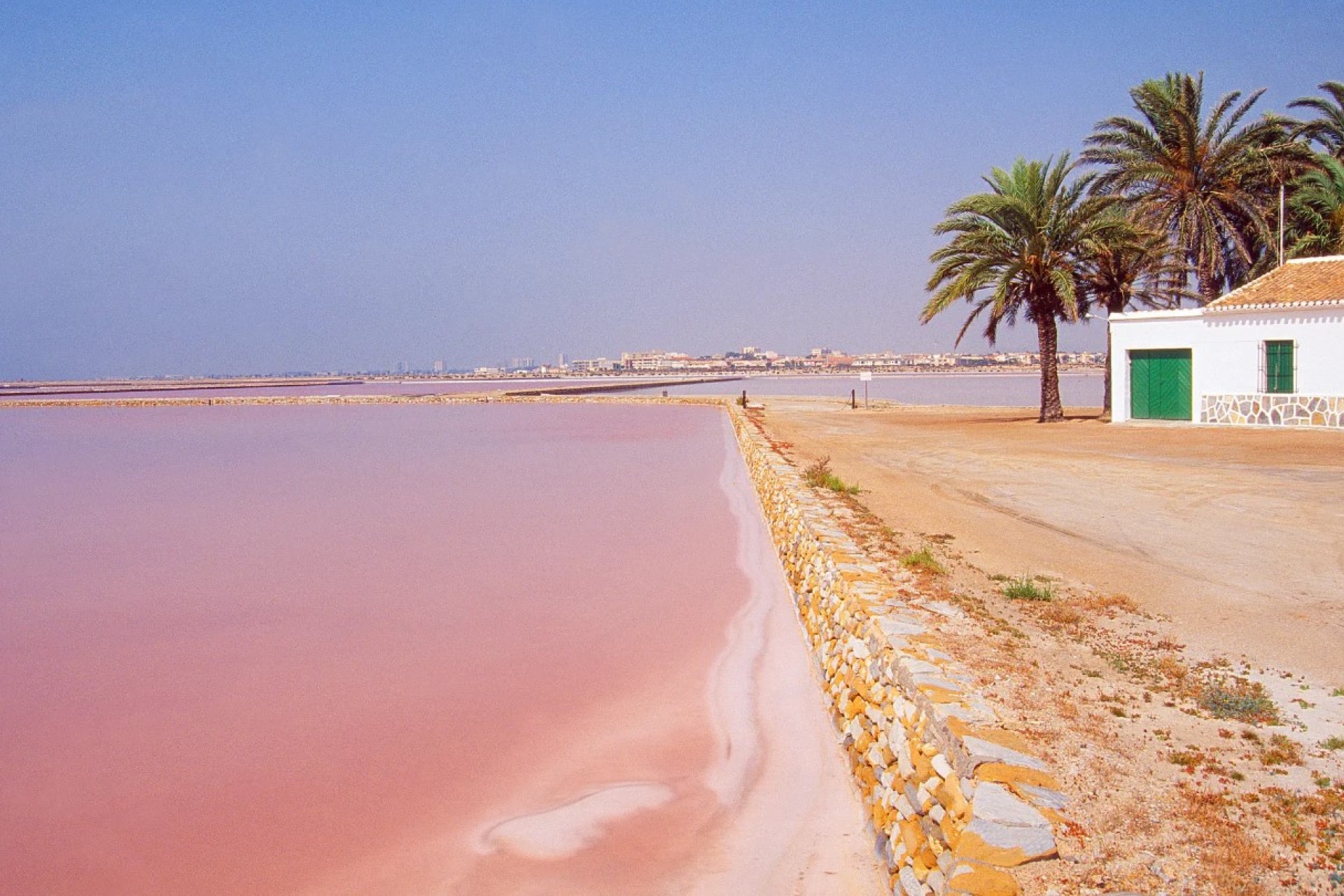 Nieuwbouw Woningen - Apartment - San Pedro del Pinatar