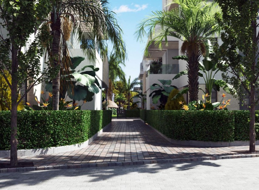 Nieuwbouw Woningen - Apartment - Santa Rosalía
