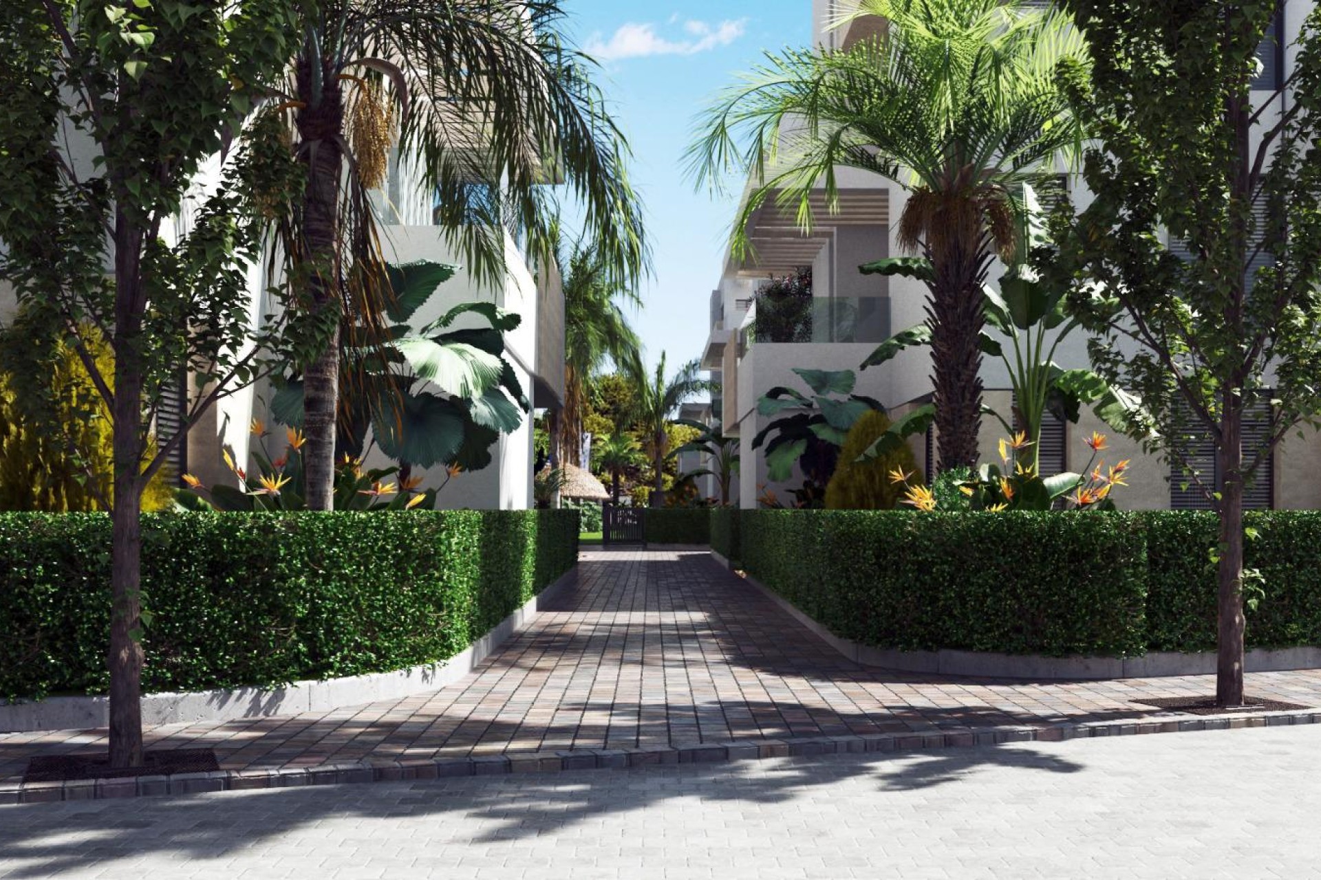 Nieuwbouw Woningen - Apartment - Santa Rosalía